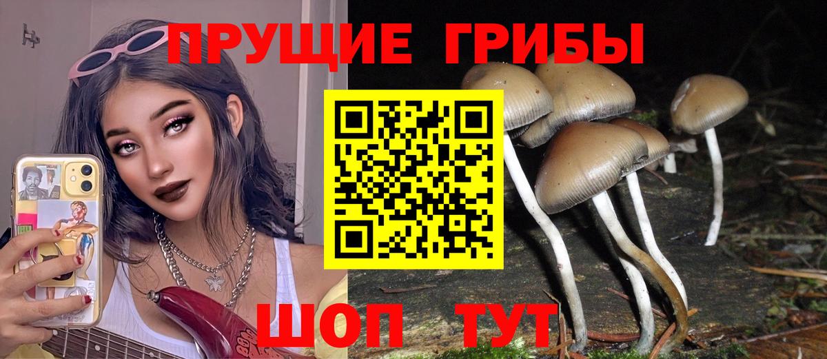 Мценск  где продают   Вход с VPN  Псилоцибиновые грибы мицелий 