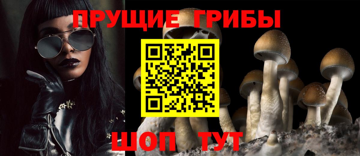 Псилоцибиновые грибы мухоморы Мценск